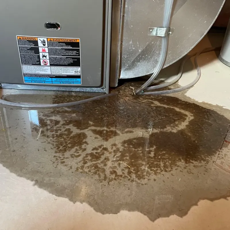 Appliance Leak Cleanup in Akron, IN